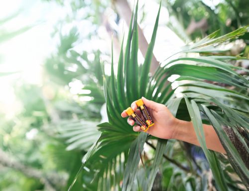 Flavored vs Flavorless SPF Lip Balm: Which Is Better for Protection?