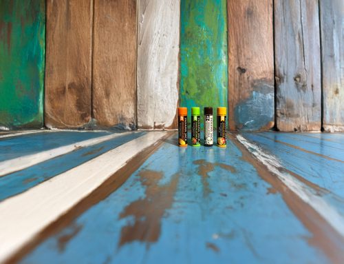 Beeswax vs Carnauba Wax in Lip Balm: How the Base Affects Protection