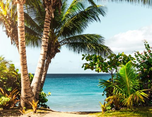 Surf Fishing Tips for Beginners: Gear, Location, and Sun Safety
